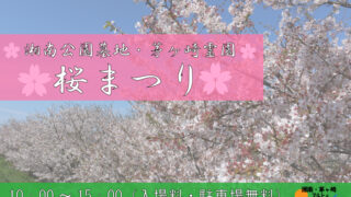 桜まつりが3月31日㈰と4月6日㈯に開催されます！