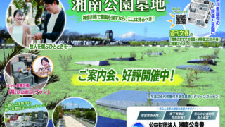 2025年4月度のチラシが配布されました