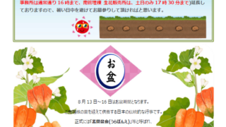 広報誌『湘南のしおり』（第2025003号）が発行されました！