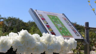 2025年合同慰霊祭・献花式が執り行われました！