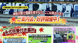 2025年11月度のチラシが配布されました