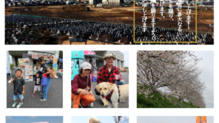 広報誌『湘南のしおり』（第2026001号）が発行されました！