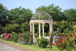 樹木葬「スプリングローズガーデン」