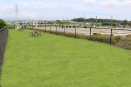 無料ドッグラン