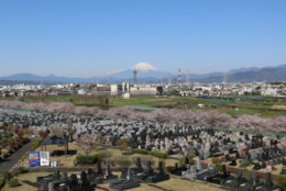 中央礼拝堂屋上からの眺望